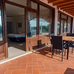 Harmony - Italian Homing *